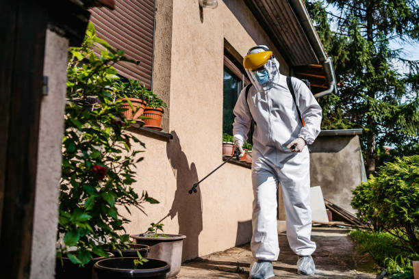 Best Local Pest Control Services  in Tipp City, OH