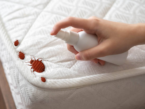 Best Pest Removal Services  in Tipp City, OH